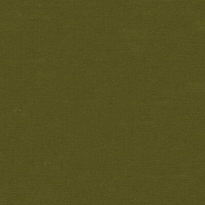 KRAVET DESIGN VELVET TEXTURE GREEN,GREEN,   - VERSAILLES.E26815.0