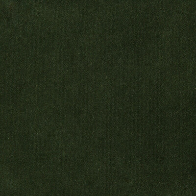 KRAVET DESIGN VELVET TEXTURE GREEN,GREEN,   - VERSAILLES.E26920.0