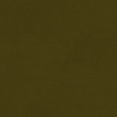 KRAVET DESIGN VELVET TEXTURE GREEN,GREEN,   - VERSAILLES.E27200.0