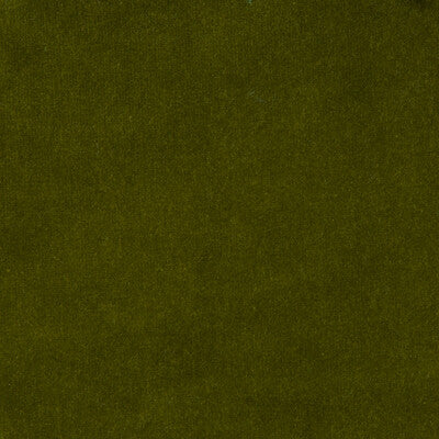 KRAVET DESIGN VELVET TEXTURE GREEN,GREEN,   - VERSAILLES.E27223.0