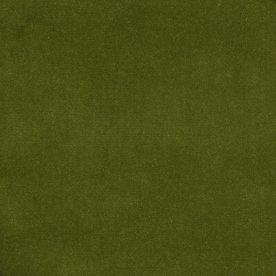 KRAVET DESIGN VELVET TEXTURE GREEN,GREEN,   - VERSAILLES.E27224.0