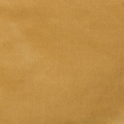 KRAVET DESIGN VELVET TEXTURE BEIGE,BEIGE,   - VERSAILLES.E27400.0