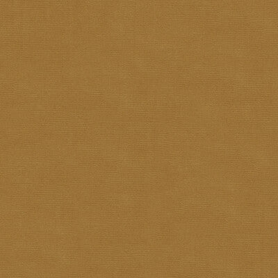 KRAVET DESIGN VELVET TEXTURE BEIGE,BEIGE,   - VERSAILLES.E27401.0