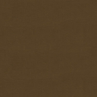 KRAVET DESIGN VELVET TEXTURE BEIGE,BEIGE,   - VERSAILLES.E27706.0