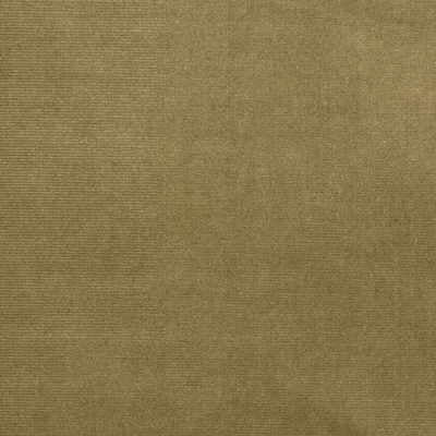 KRAVET DESIGN VELVET TEXTURE BEIGE,BEIGE,   - VERSAILLES.E27707.0