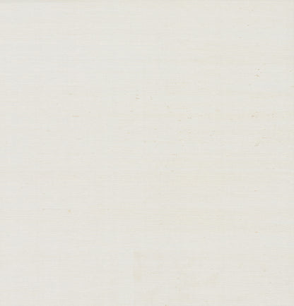 York Wallcoverings Designer Sisals Fan Deck Plain Grass White Wallpaper  Grasscloth Whites and Off-Whites   - VG0000