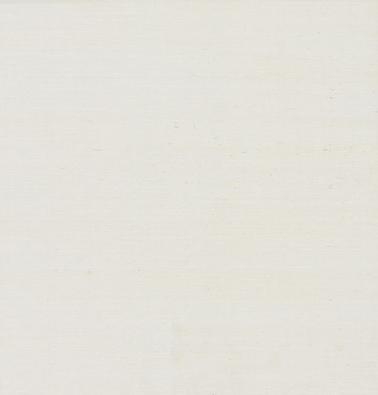 York Wallcoverings Designer Sisals Fan Deck Plain Grass White Wallpaper  Grasscloth Whites and Off-Whites   - VG0000