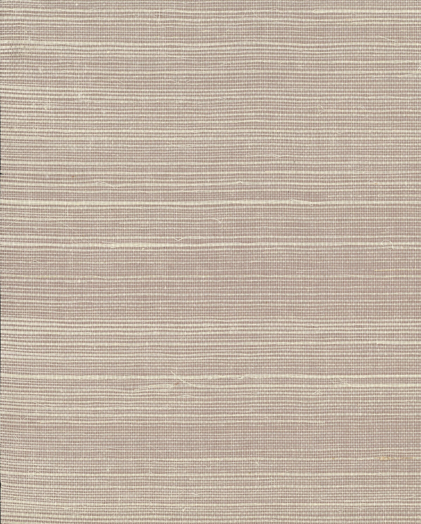 York Wallcoverings Designer Sisals Fan Deck Plain Beige Grass Wallpaper Traditional Grasscloth Whites and Off-Whites   - VG4406MH