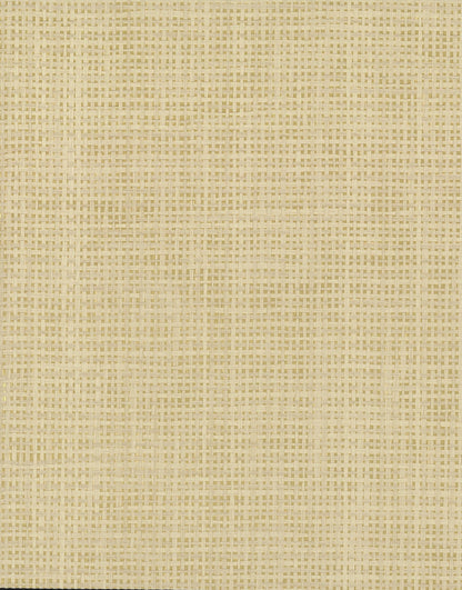 White woven crosshatch wallpaper texture with a subtle linen-like pattern.