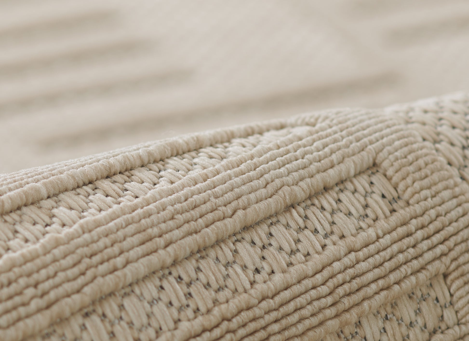 Beige natural jute rug close-up showing chunky woven fibers and braided trim.
