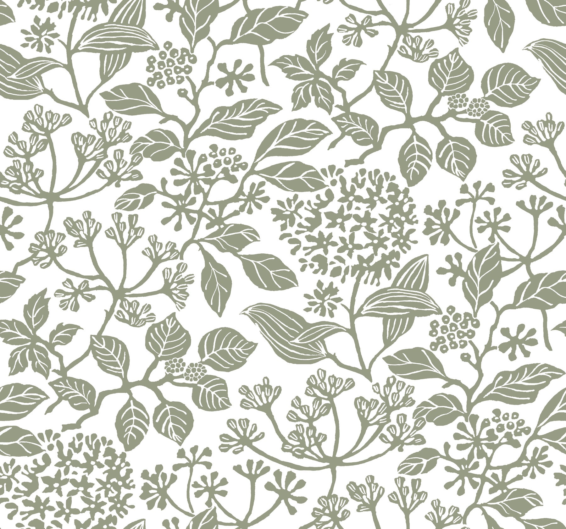 VP1343-inspired botanical print with green-gray leaves and tiny flower clusters on white background.