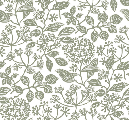 VP1343-inspired botanical print with green-gray leaves and tiny flower clusters on white background.