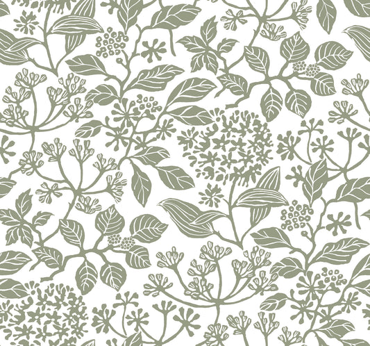 York Wallcoverings Antonina Vella Rowen Olive Botanical Wallpaper Botanical Farmhouse Olive  Wallpaper - VP1343