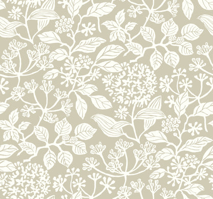 York Wallcoverings Antonina Vella Rowen Taupe Botanical Wallpaper Botanical Farmhouse Taupe  Wallpaper - VP1344