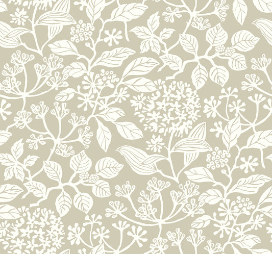 York Wallcoverings Antonina Vella Rowen Taupe Botanical Wallpaper Botanical Farmhouse Taupe  Wallpaper - VP1344