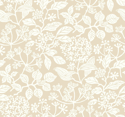 York Wallcoverings Antonina Vella Rowen Beige Botanical Wallpaper Botanical Farmhouse Beige  Wallpaper - VP1345