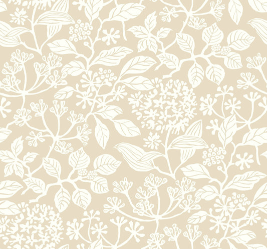 York Wallcoverings Antonina Vella Rowen Beige Botanical Wallpaper Botanical Farmhouse Beige  Wallpaper - VP1345