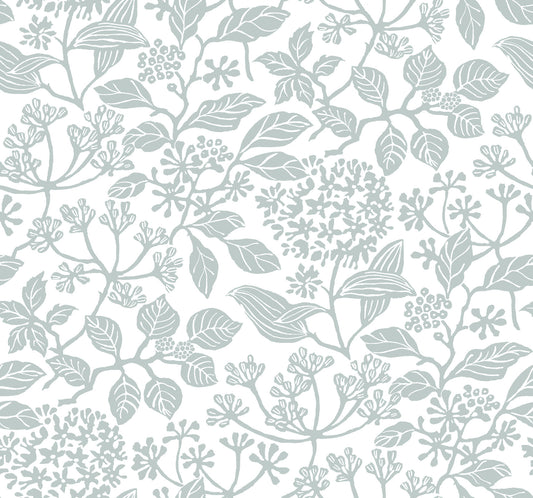 York Wallcoverings Antonina Vella Rowen Light Blue Botanical Wallpaper Botanical Farmhouse Pale Blue  Wallpaper - VP1346