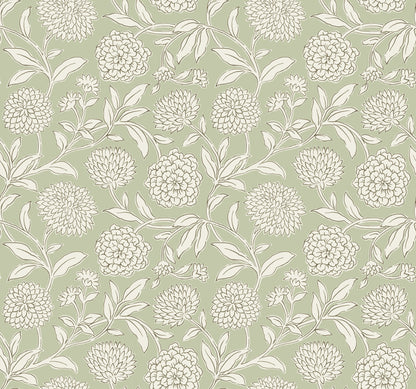 York Wallcoverings Antonina Vella Chatsworth Garden Light Green Floral Trail Wallpaper Botanical Modern Celery  Wallpaper - VP1362