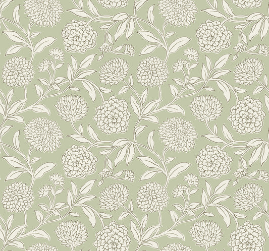 York Wallcoverings Antonina Vella Chatsworth Garden Light Green Floral Trail Wallpaper Botanical Modern Celery  Wallpaper - VP1362