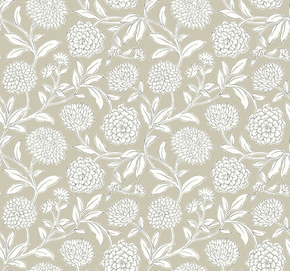 York Wallcoverings Antonina Vella Chatsworth Garden Taupe Floral Trail Wallpaper Botanical Modern Taupe  Wallpaper - VP1363