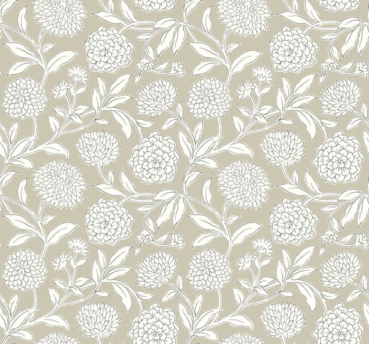 York Wallcoverings Antonina Vella Chatsworth Garden Taupe Floral Trail Wallpaper Botanical Modern Taupe  Wallpaper - VP1363