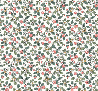 York Wallcoverings Antonina Vella Framboise Pink Berry Vines Wallpaper Botanical Whimsical Berry & Green  Wallpaper - VP1412