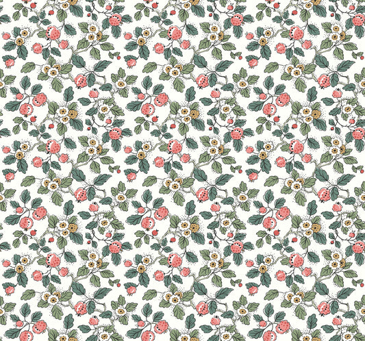 York Wallcoverings Antonina Vella Framboise Pink Berry Vines Wallpaper Botanical Whimsical Berry & Green  Wallpaper - VP1412