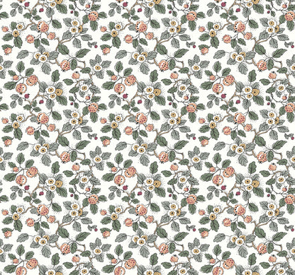 York Wallcoverings Antonina Vella Framboise Blush Berry Vines Wallpaper Botanical Whimsical Salmon & Eucalyptus  Wallpaper - VP1414