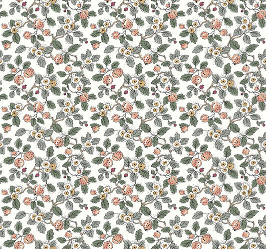 York Wallcoverings Antonina Vella Framboise Blush Berry Vines Wallpaper Botanical Whimsical Salmon & Eucalyptus  Wallpaper - VP1414
