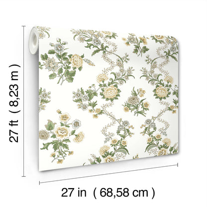 York Wallcoverings Antonina Vella Genevieve Butter Floral Trail Wallpaper Botanical Farmhouse Butter & Green  Wallpaper - VP1421