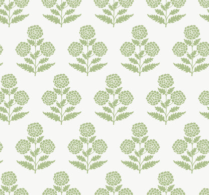 York Wallcoverings Antonina Vella Souci Green Marigolds Wallpaper Botanical Modern Green  Wallpaper - VP1436