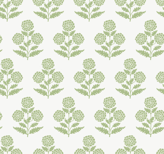 York Wallcoverings Antonina Vella Souci Green Marigolds Wallpaper Botanical Modern Green  Wallpaper - VP1436