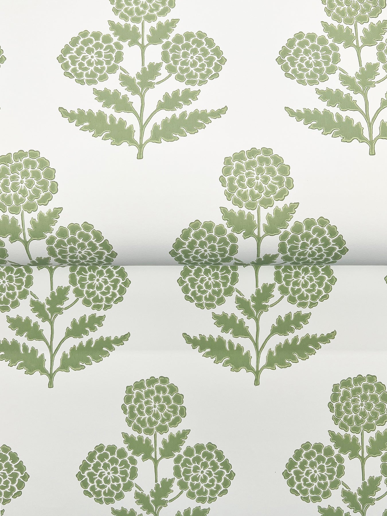 York Wallcoverings Antonina Vella Souci Green Marigolds Wallpaper Botanical Modern Green  Wallpaper - VP1436