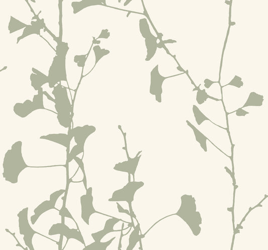 York Wallcoverings Ronald Redding Ginkgo Silhouette Sage Cork Wallpaper Beach Traditional Sage  Wallpaper - VR1510