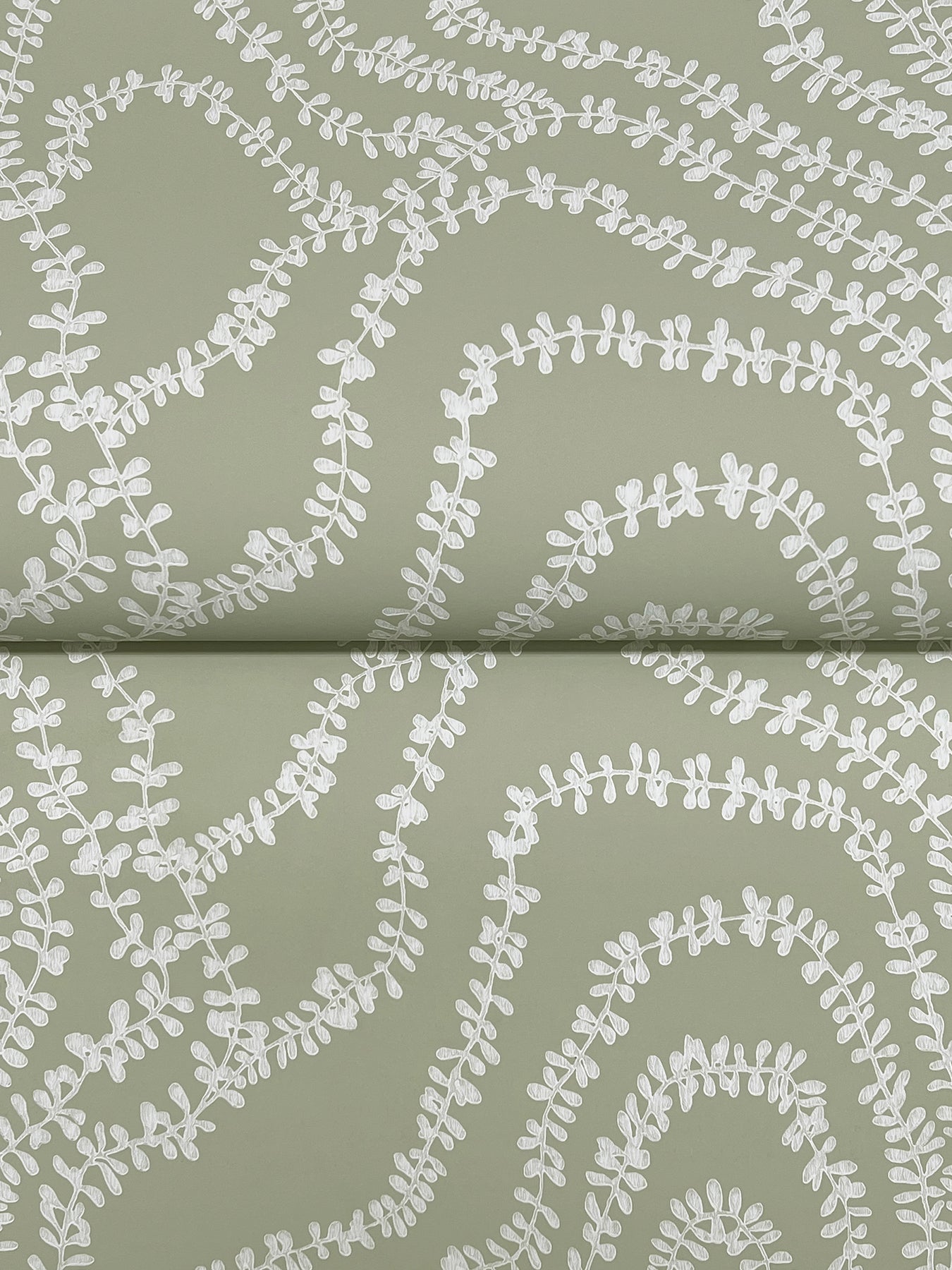 York Wallcoverings Ronald Redding String of Pearls Sage Vine Wallpaper Botanical Traditional Sage  Wallpaper - VR1513