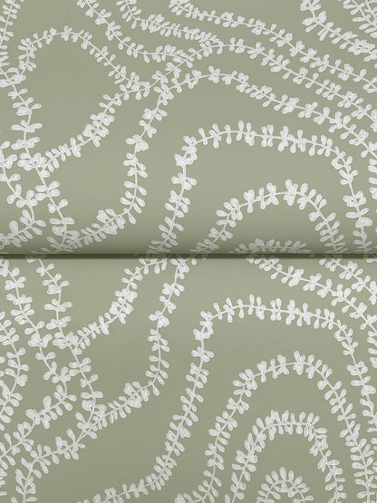 York Wallcoverings Ronald Redding String of Pearls Sage Vine Wallpaper Botanical Traditional Sage  Wallpaper - VR1513