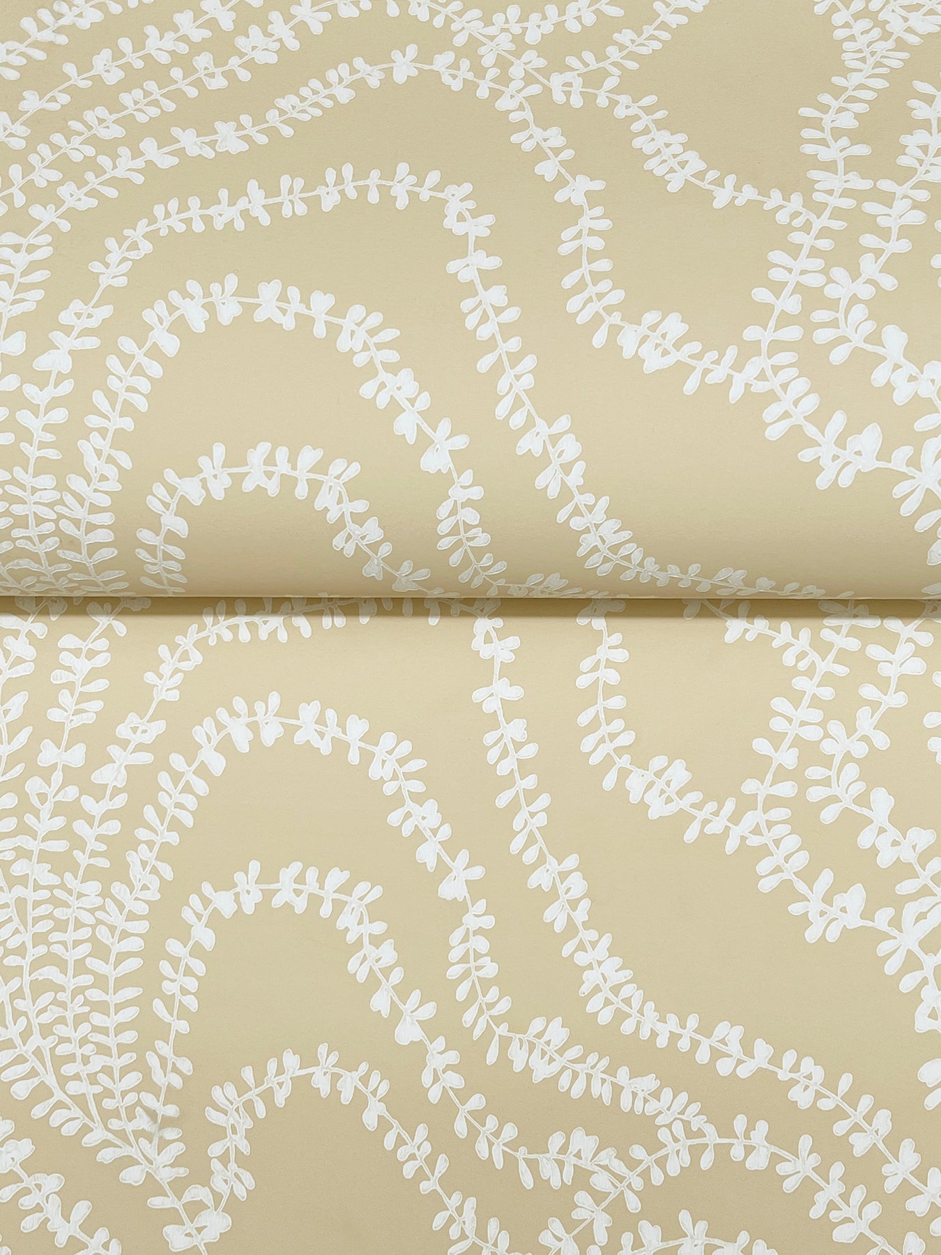 York Wallcoverings Ronald Redding String of Pearls Butter Vine Wallpaper Botanical Traditional Butter  Wallpaper - VR1515