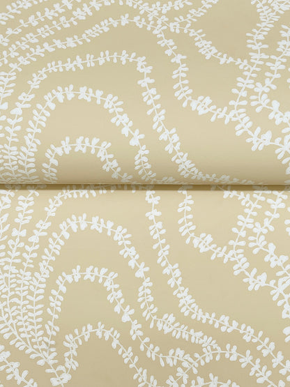 York Wallcoverings Ronald Redding String of Pearls Butter Vine Wallpaper Botanical Traditional Butter  Wallpaper - VR1515
