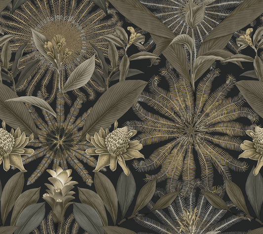 York Wallcoverings Ronald Redding Enchanted Garden Black Tropical Wallpaper Botanical Bohemian Black  Wallpaper - VR1531
