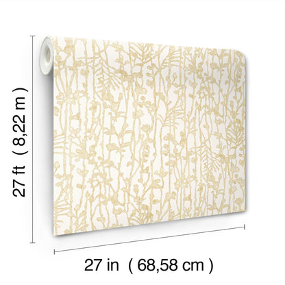 York Wallcoverings Ronald Redding Filigree Gold Abstract Wallpaper Abstract Modern Gold  Wallpaper - VR1560