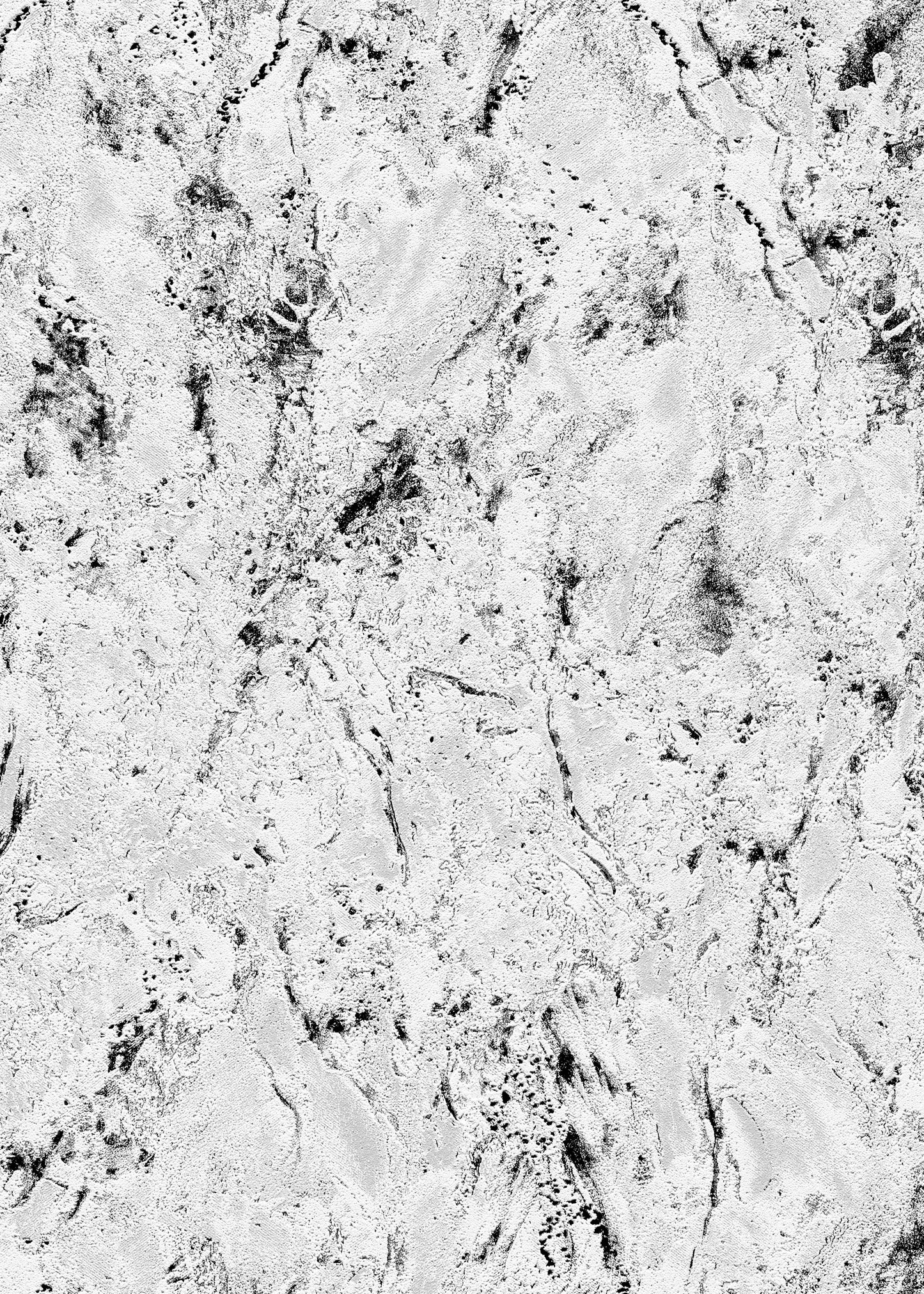 VEER DECOR Venetian Stucco Wallpaper Texture Transitional dark grey  Wallpaper - VRMB134-1060