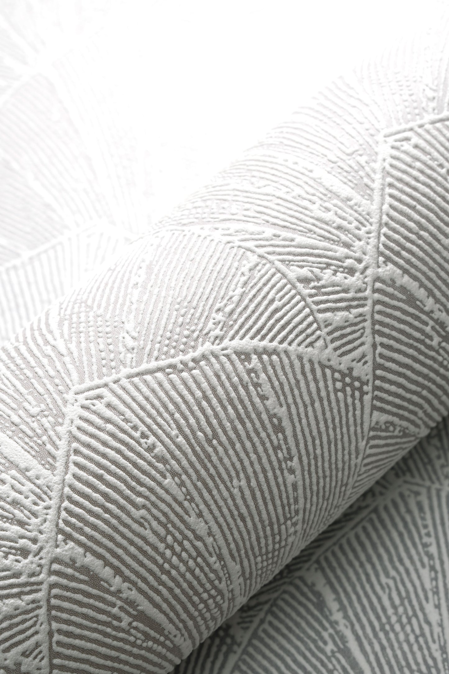 VEER DECOR Sculpted Fan Leaf Wallpaper Tropical; Botanical Transitional cream  Wallpaper - VRMB314-1060