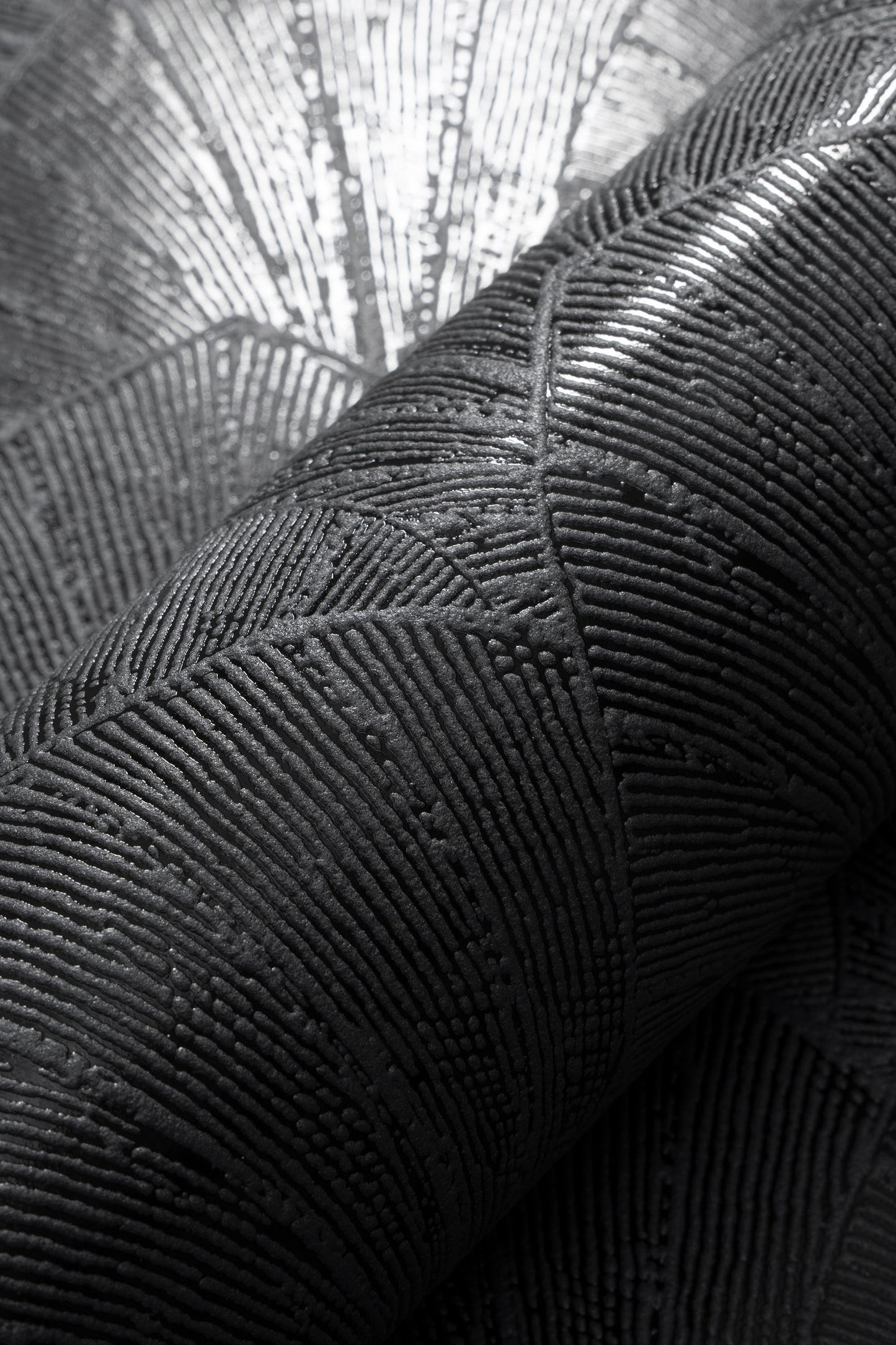 VEER DECOR Sculpted Fan Leaf Wallpaper Tropical; Botanical Transitional black  Wallpaper - VRMB315-1060