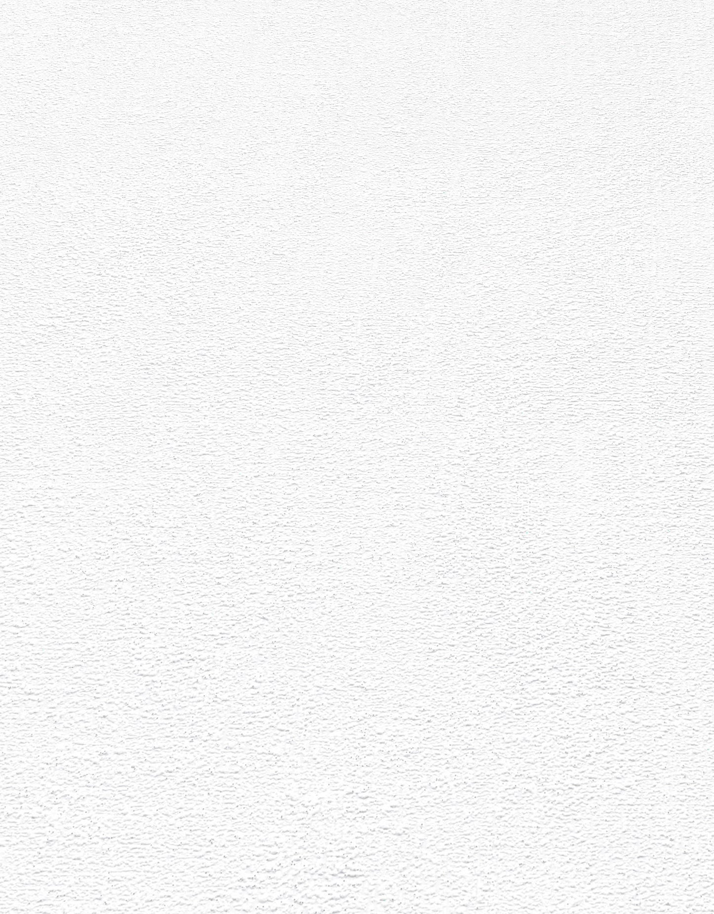 VEER DECOR Stardust Plaster Wallpaper  Texture Transitional white  Wallpaper - VRMB601-1057