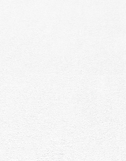 VEER DECOR Stardust Plaster Wallpaper  Texture Transitional white  Wallpaper - VRMB601-1057