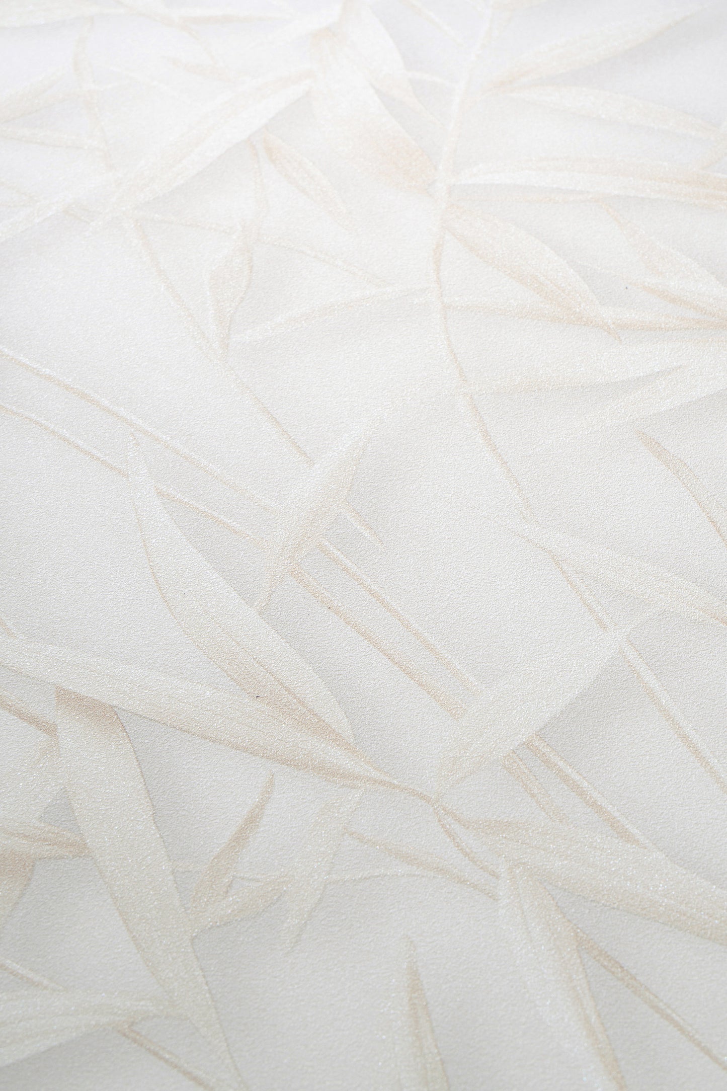 VEER DECOR Sylvan Bamboo Fronds Wallpaper Tropical; Botanical Transitional beige  Wallpaper - VRPH702-1058