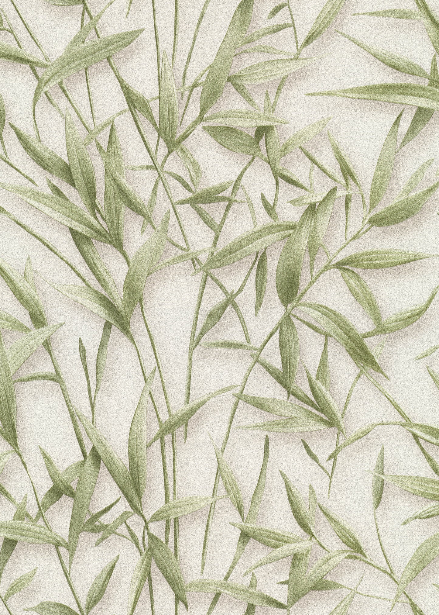 VEER DECOR Sylvan Bamboo Fronds Wallpaper Tropical; Botanical Transitional green  Wallpaper - VRPH707-1058