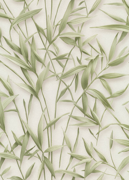 VEER DECOR Sylvan Bamboo Fronds Wallpaper Tropical; Botanical Transitional green  Wallpaper - VRPH707-1058