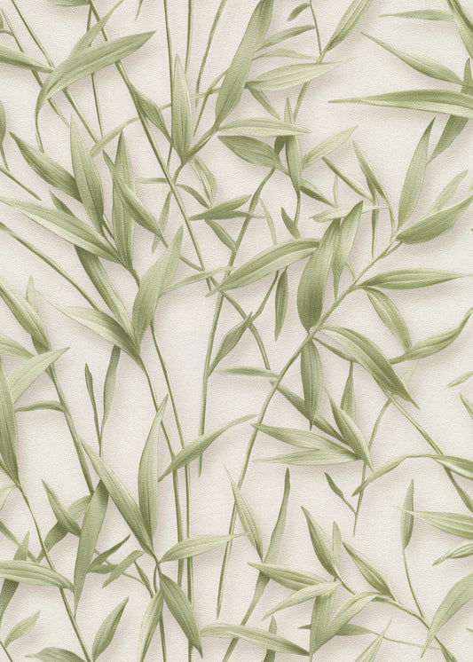 VEER DECOR Sylvan Bamboo Fronds Wallpaper Tropical; Botanical Transitional green  Wallpaper - VRPH707-1058